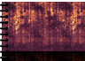 SC_0064_03