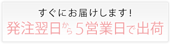 すぐにお届けします!発注翌日から5営業日で出荷