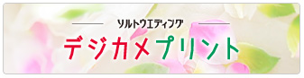 ソルトウエディング・デジカメプリント